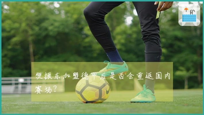 樊振东加盟德甲后是否会重返国内赛场？