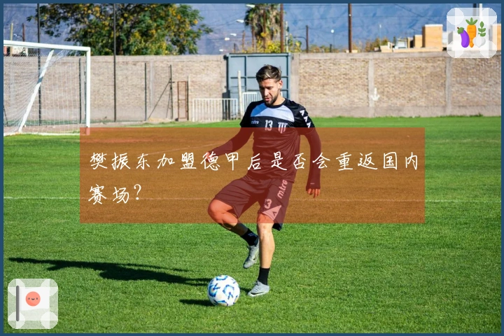 樊振东加盟德甲后是否会重返国内赛场？